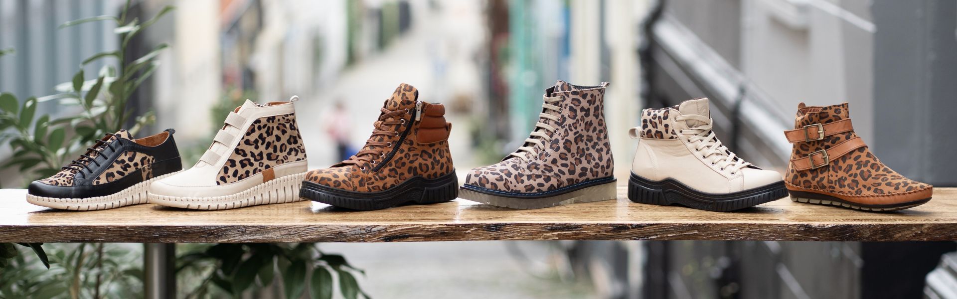 Leo Print Kollektion - Gemini Schuhe